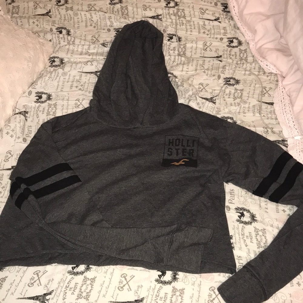 Hollister long sleeve cropped top with a hood